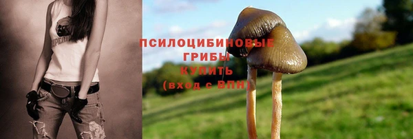 не бодяженный Надым